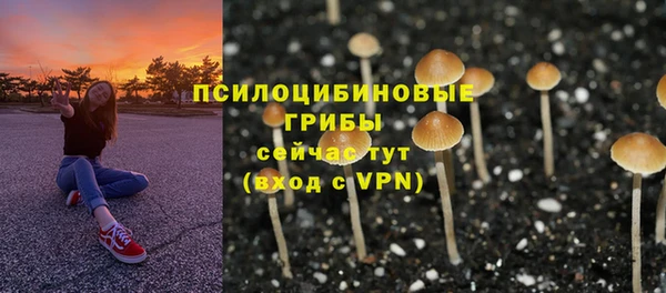 каннабис Бородино